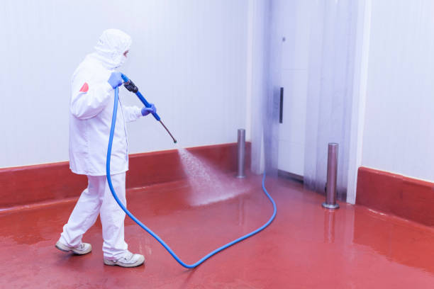 Best Solar Panel Cleaning  in Huntington, VA